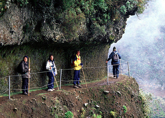 Walking on Madeira offered lots of different experiences and views